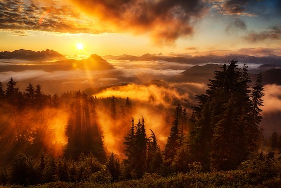 GredineMatthews's tweet photo. Good Morning All! https://t.co/mTDJy60Tzx