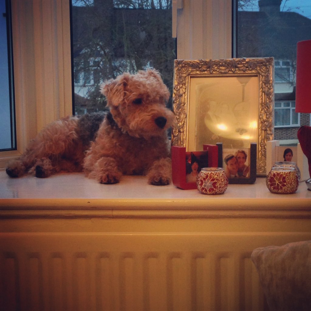 Embedded image permalink