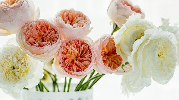 giltcity's tweet photo. Enjoy nature's beauty (with a cocktail in hand) w. floral-arranging classes at @Alices_Table https://t.co/ymMYkYTF9d https://t.co/JgC1pkXN9S
