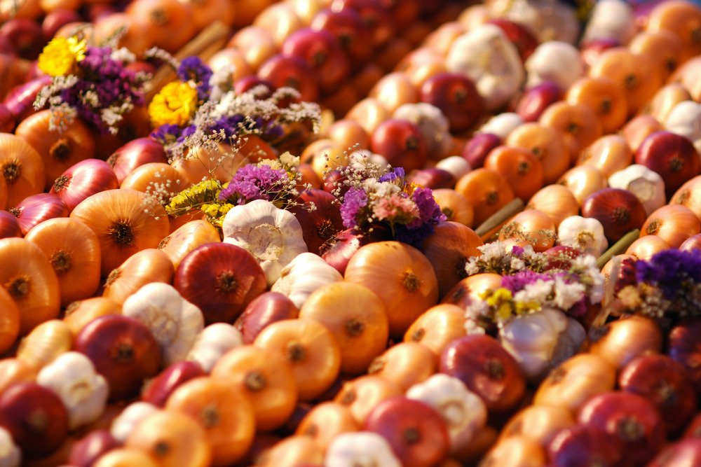 swissforextradi's tweet image. Onions, anyone?: This is an article contributed by Isabel… dlvr.it/CqgkGV #swissnexchina #anyone #Onions
