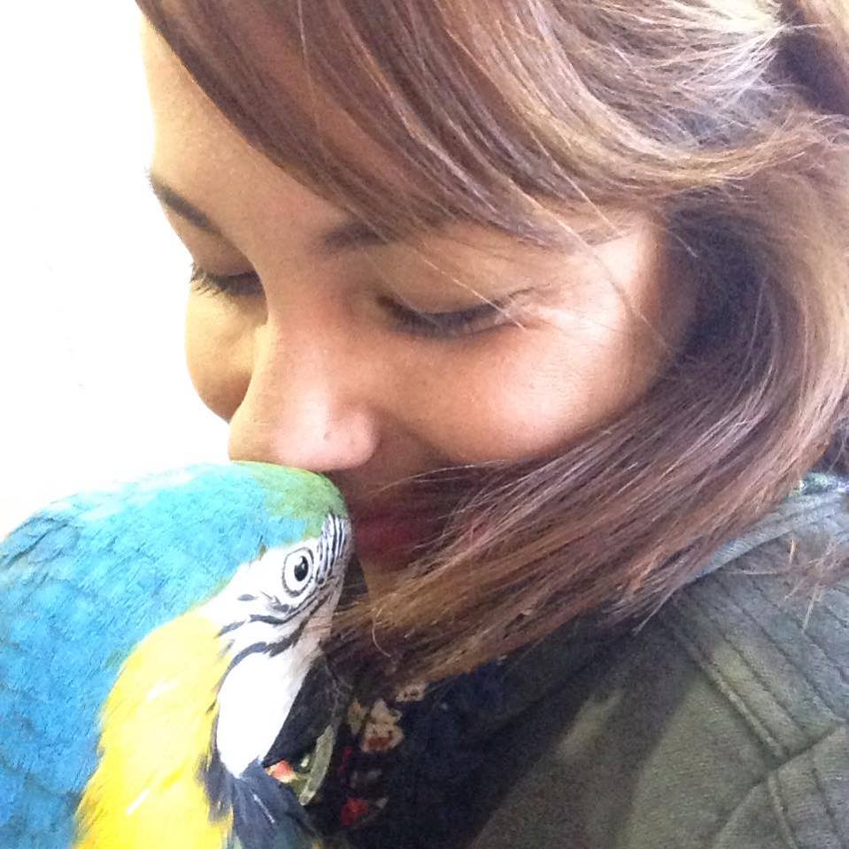 MVZ Vanessa Hernandez Urraca -  elaviario.org/shop/mvz-vanes…