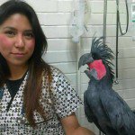 MVZ Andrea Juárez Murguía -  elaviario.org/shop/mvz-andre…