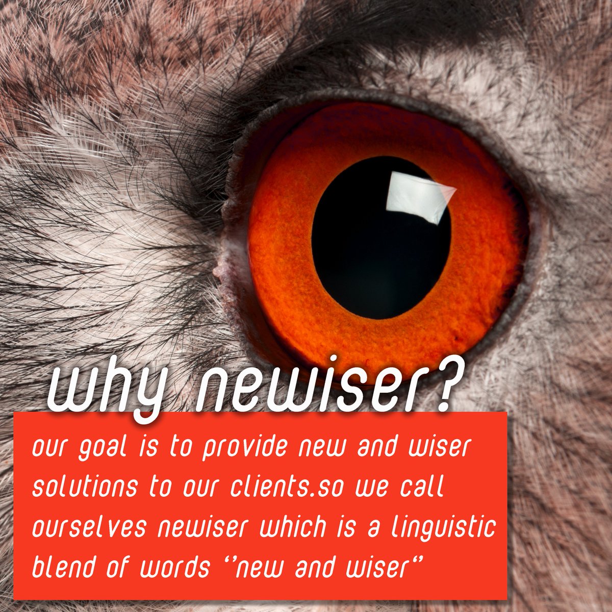newiser_ab's tweet photo. #WHY we call ourselves #newiser ? we are a #marketing #graphicdesign and #productdesign company. https://t.co/DBgjYkTVON