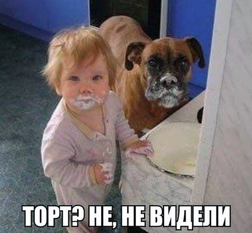 maximsvo1988's tweet photo. #юмор #приколы #улётный_юмор #анекдоты #демотиваторы https://t.co/gD4UQRuo7W