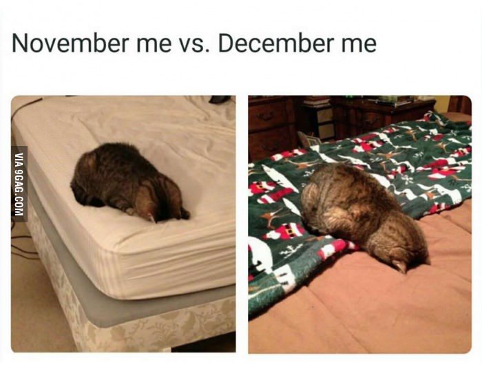 November vs December 
9gag.com/gag/aZNOQq0?re…
