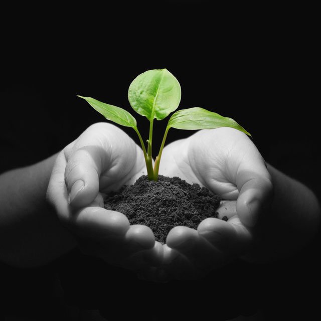 Bila sudah memiliki sebuah ide bisnis, di manakah harus memulai? ow.ly/UXuMe