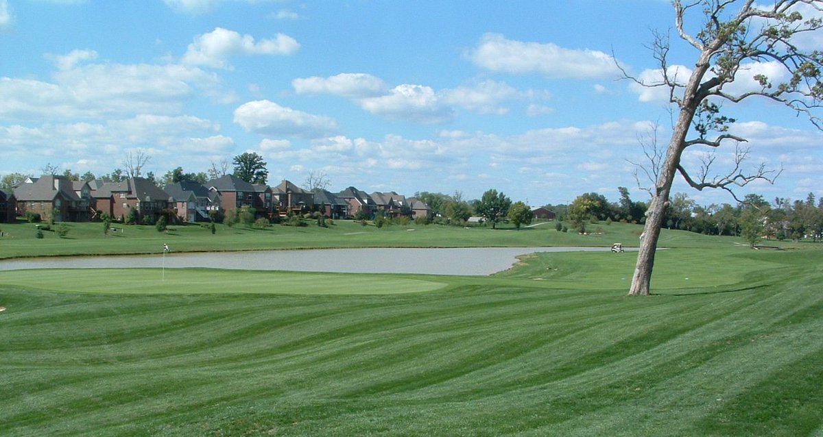 Great picture of Cherry Blossom in Lexington Kentucky!  Book Lexington Golf Packages today!  #LexingtonGolfPackages