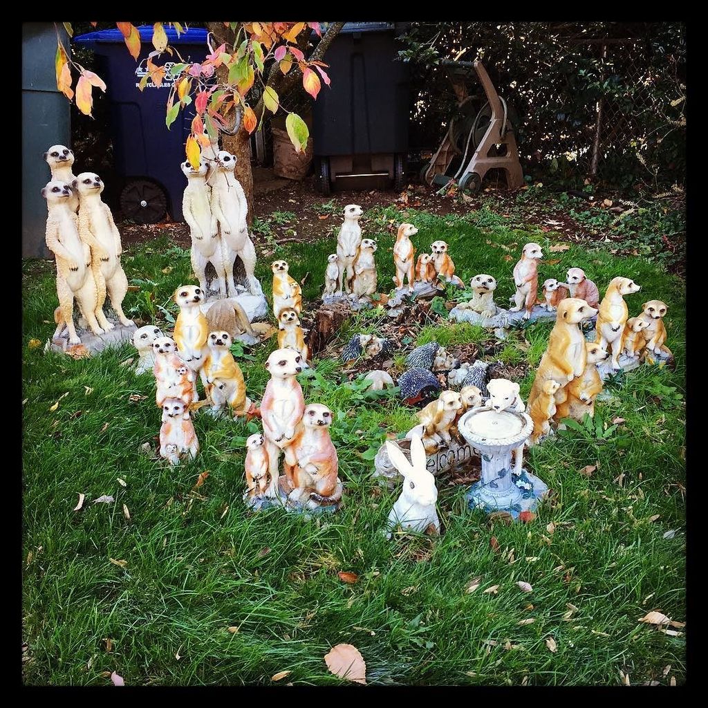 petworthdcnews's tweet photo. "They always seem surprised to see you." Do you know where this funny display is? #notthezoo #frontyard #neighborh… https://t.co/e5cKo1NF7N