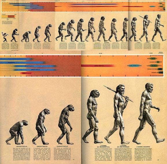 yalepeabody's tweet photo. Today's Google Doodle (discover of Lucy 41 years ago) is inspired by Rudolph Zallinger's "March of Progress" image. https://t.co/IVkQG6kjSZ