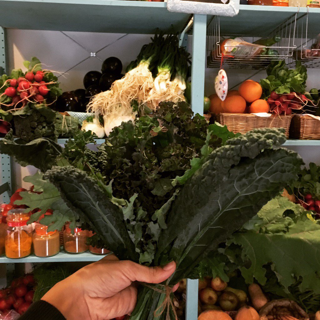 RedVerdeSevilla's tweet photo. Lo ecológico mola, pero que mucho. Hasta 7 variedades de #kale. #Sevillahoy #ecology https://t.co/rn4yryLsQM