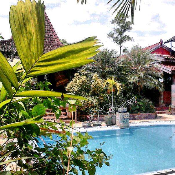 @Yucheapd_ <a href="/ernitardn/">cheee</a> @dhabobb @MiraaNovitaDewi <a href="/isna_asyarah/">isna asyarah</a> @lely14601425 @ypuput1103 yuk dinner @pastagio_banjar