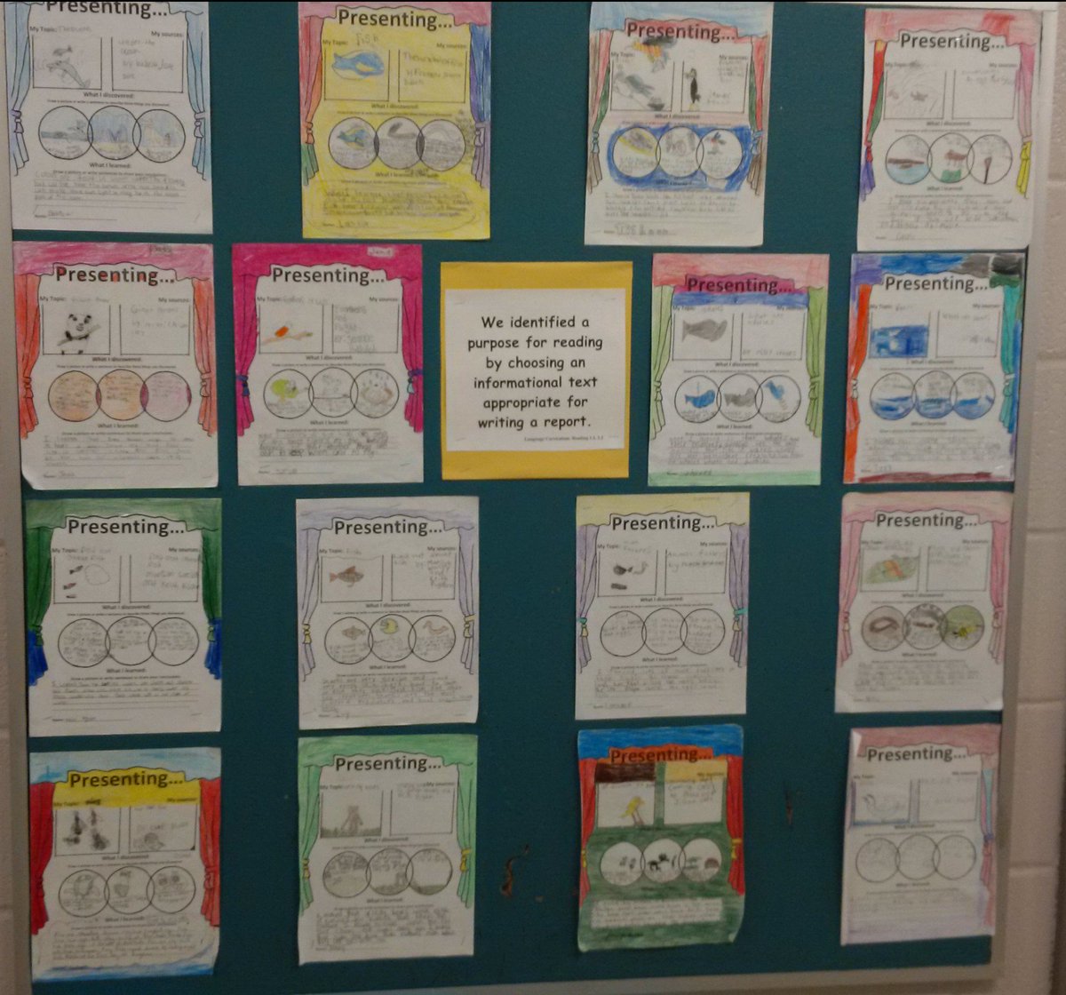 Reading for a purpose. Cordella loves reading.