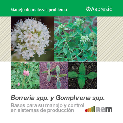 aapresid's tweet photo. Descargá gratis claves de manejo y control de Borreira y Gomphrena   https://t.co/UChA17F0ep #BuenaData via REM https://t.co/R4x6nYbo3v