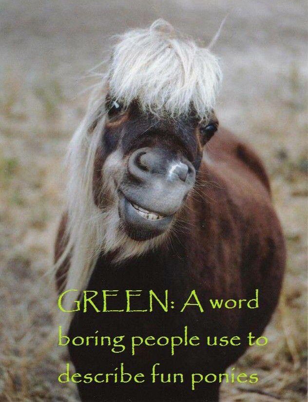 Hehehe! #bitsnpiecesks #equestrian #pony