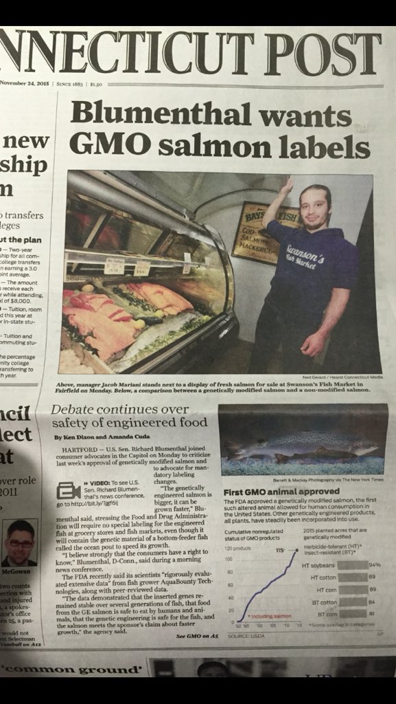 lariss89s's tweet photo. CT post-front page.Jacob, our manager showing the difference between a genetically modified salmon &amp; a non modified https://t.co/eMGFnNCDwq
