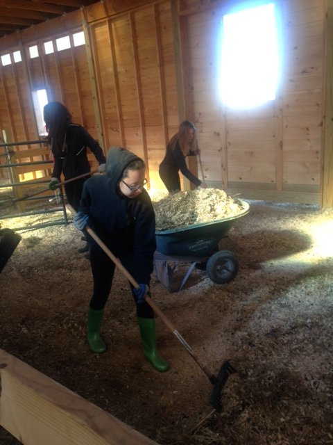 bardcce's tweet photo. Check out these Bard Students who helped out at the Animal Farm Sanctuary! 

#coolkids #BardCollege #OnASaturday https://t.co/vUpm8cqQwg
