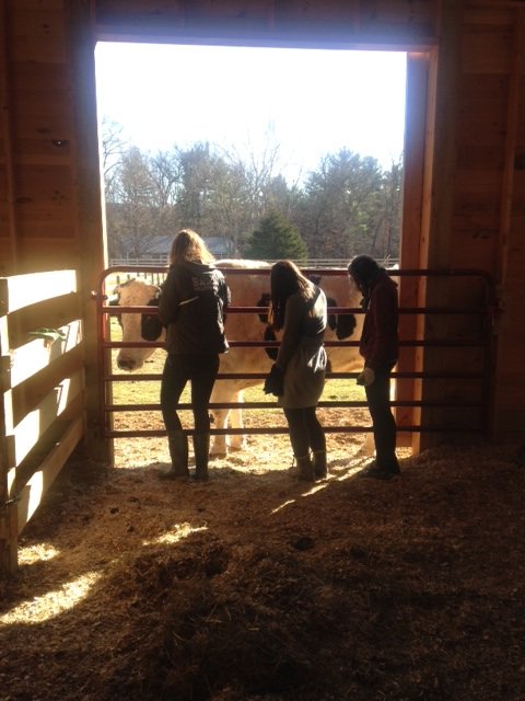 bardcce's tweet photo. Check out these Bard Students who helped out at the Animal Farm Sanctuary! 

#coolkids #BardCollege #OnASaturday https://t.co/vUpm8cqQwg