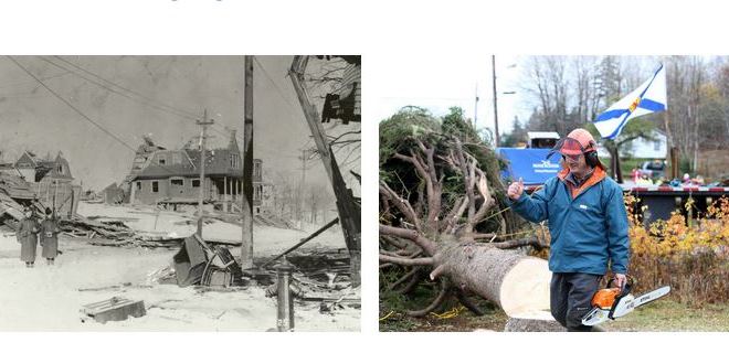 CanCGBoston's tweet photo. Do you know the story behind the Nova Scotia #TreeforBoston? See: https://t.co/yj9hwaVagQ #GoodNeighbours https://t.co/f7DIp0bsxx