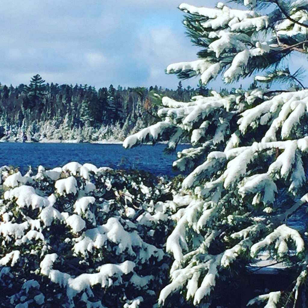 balancedmotion's tweet image. #movementbeforestillnessofwinterandice #lakeanimanipissing