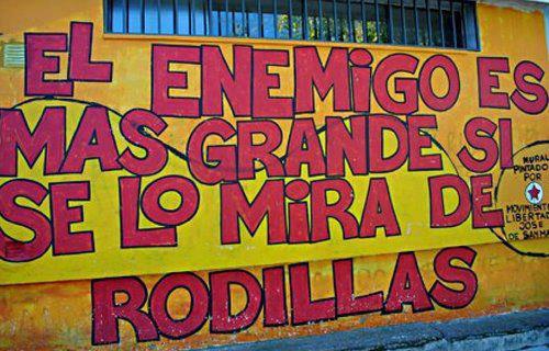 Urbanfly507's tweet photo. ¡Feliz martes a todos! #Urbanfly https://t.co/aLzPj1DzjW