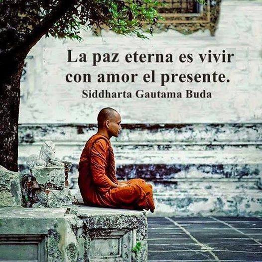 Pensamientosalu's tweet photo. https://t.co/Kr9vvFhqs5
