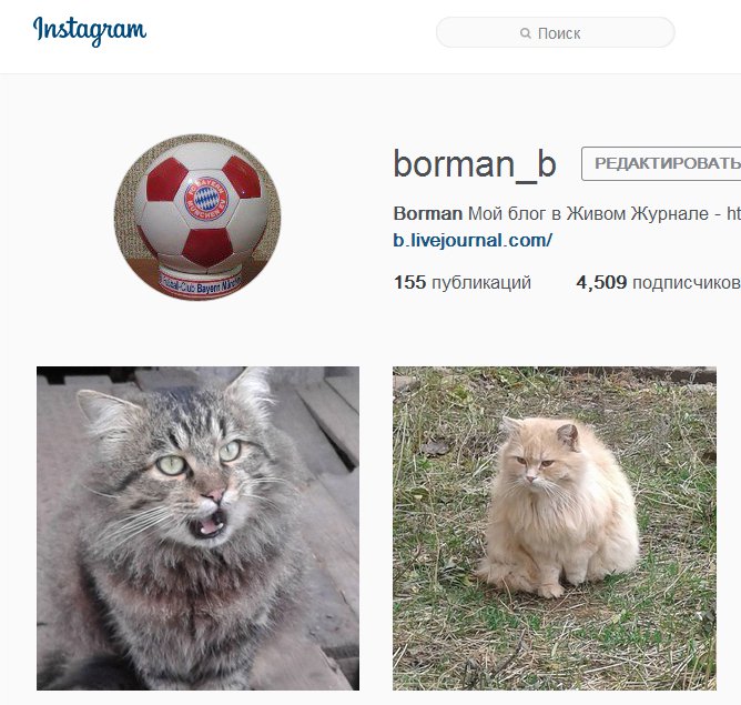 Bogdan Borman tweet media