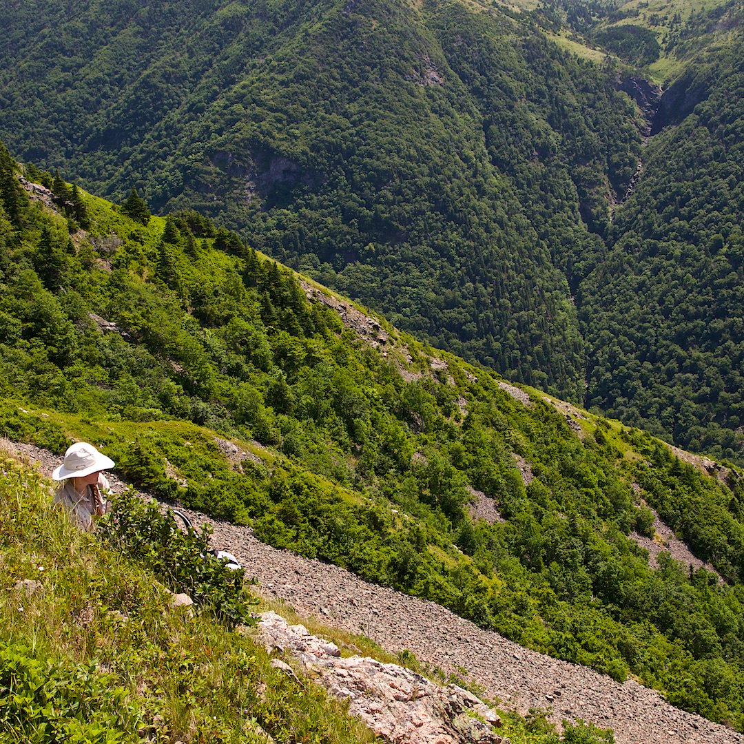 seawalltrail's tweet image. Taking a rest on a very #steepclimb.  What a view though!
