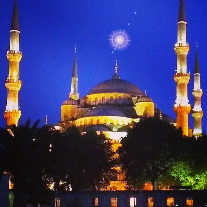 sametrip_app's tweet image. 