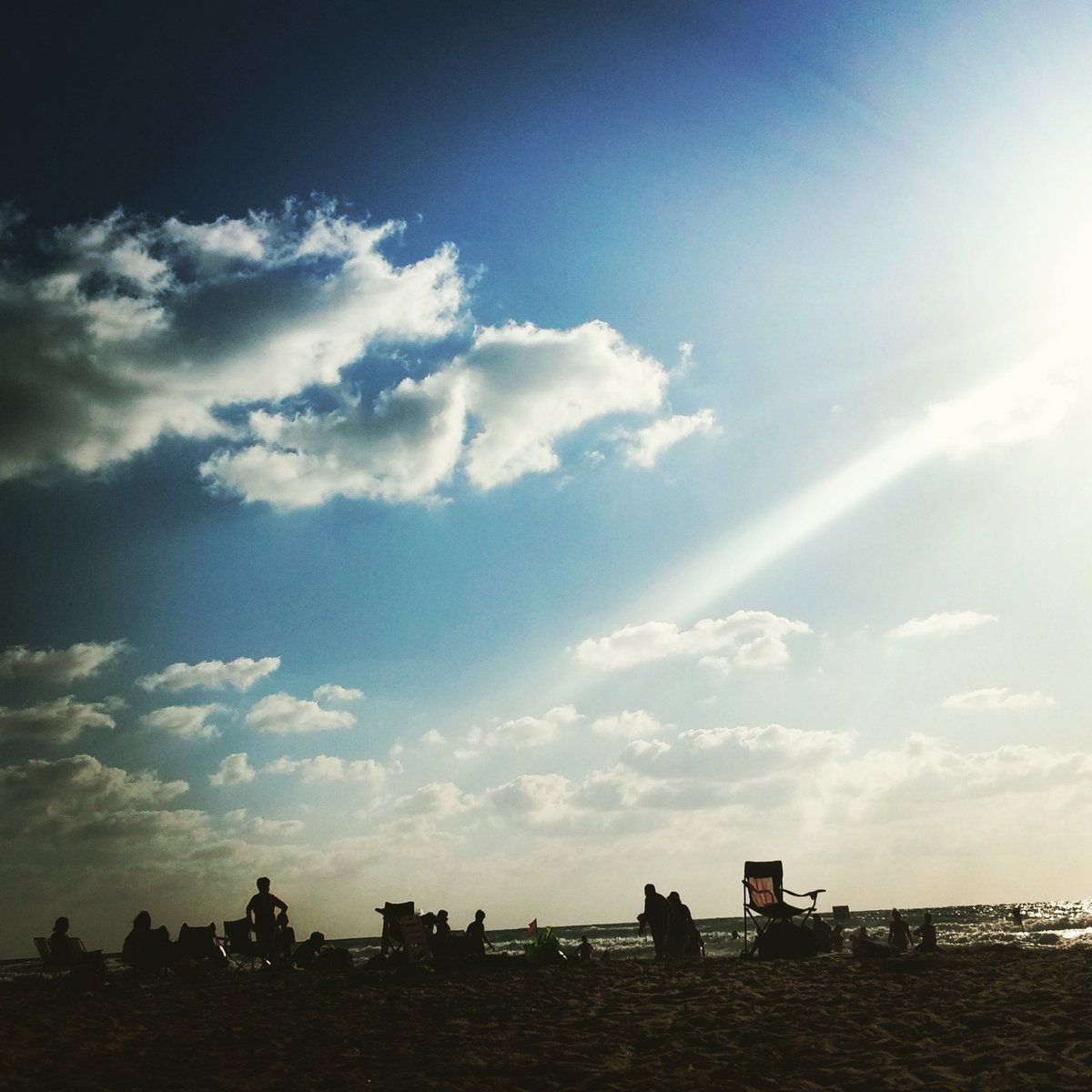 sametrip_app's tweet image. 