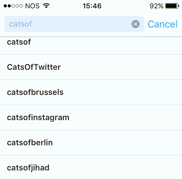 regular_jane's tweet photo. I did not know that #catsofjihad was a thing...not even going to bother looking but wow https://t.co/rYLnKrjFOn