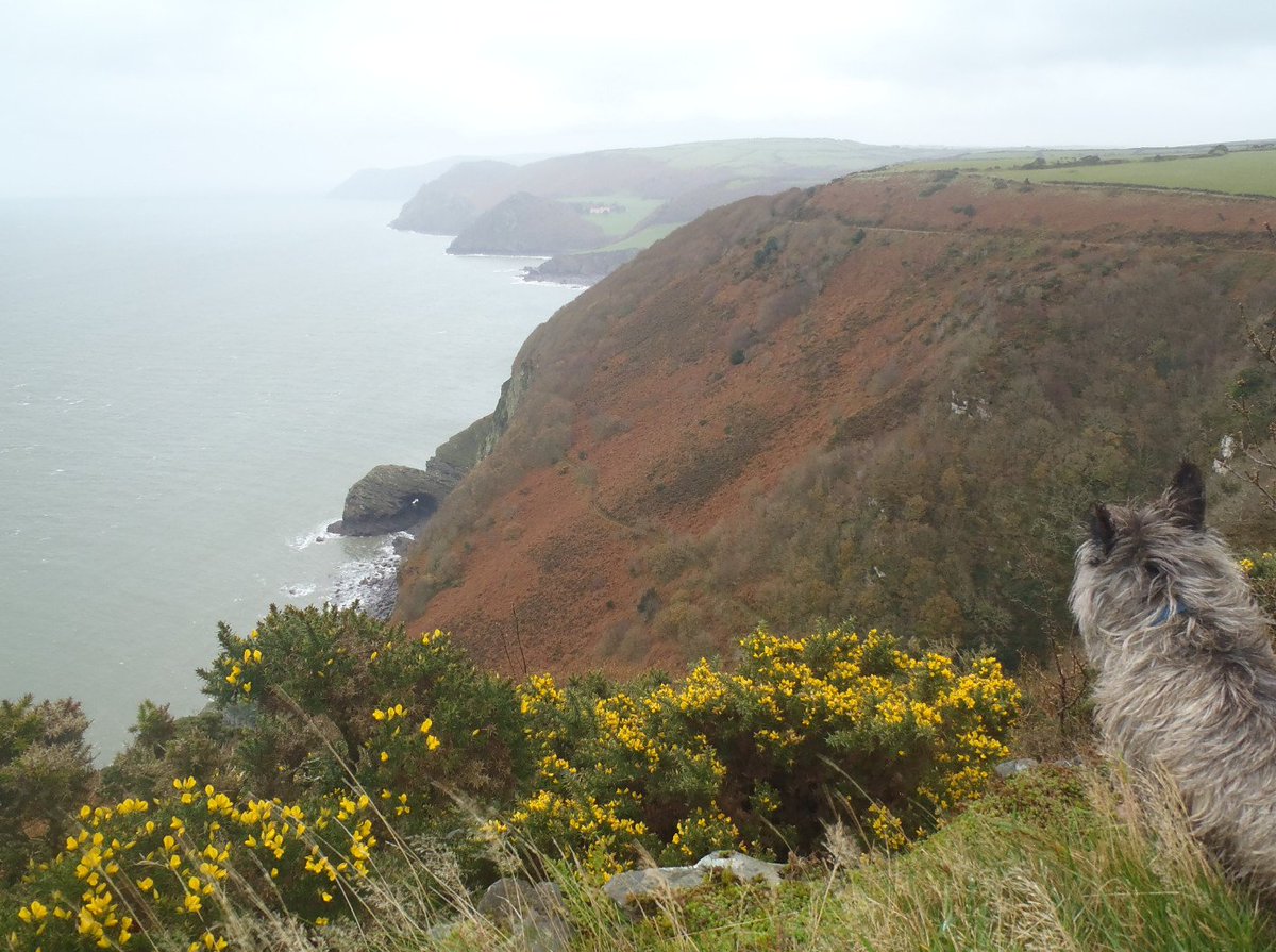 ExmoorPaths's tweet photo. @RangersENPA Path Surveying in #Martinhoe @ExmoorNP #Devon @DevonExmoorNT @RamblersGB https://t.co/j3Flya50iN