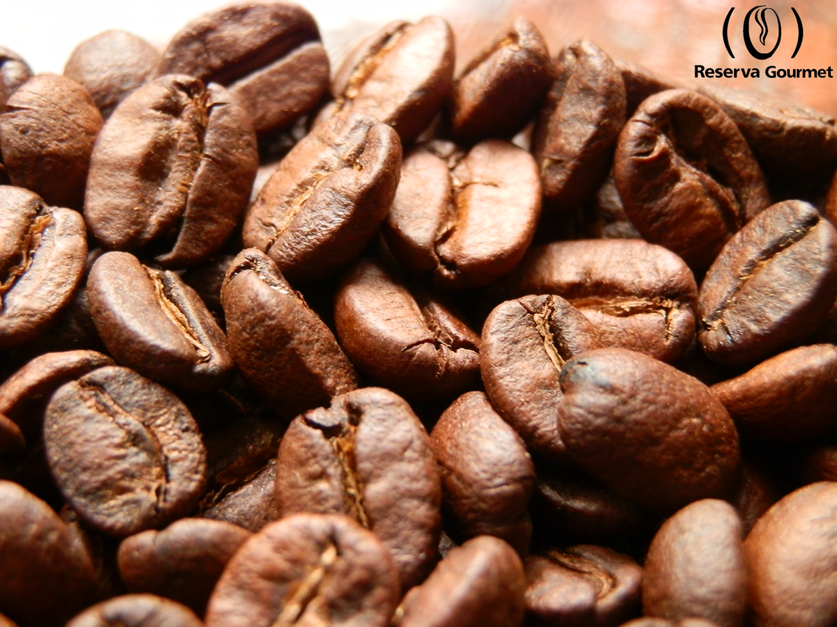 ReservaGourmett's tweet photo. Grãos Reserva Gourmet Intense da última torra.
Acesse em: https://t.co/qcvHuCpBl8
#cafégourmet #café #euamocafé https://t.co/fZHETFsUTQ