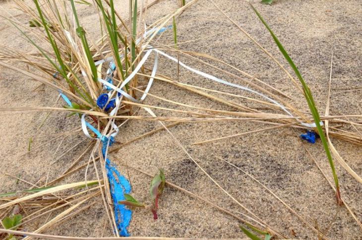 CronigsMarkets's tweet photo. @vineyardgazette Published an article about the pollution of balloons! #LiveLessPlastic  https://t.co/yqlMRnJRSs https://t.co/nW3nB20tLA