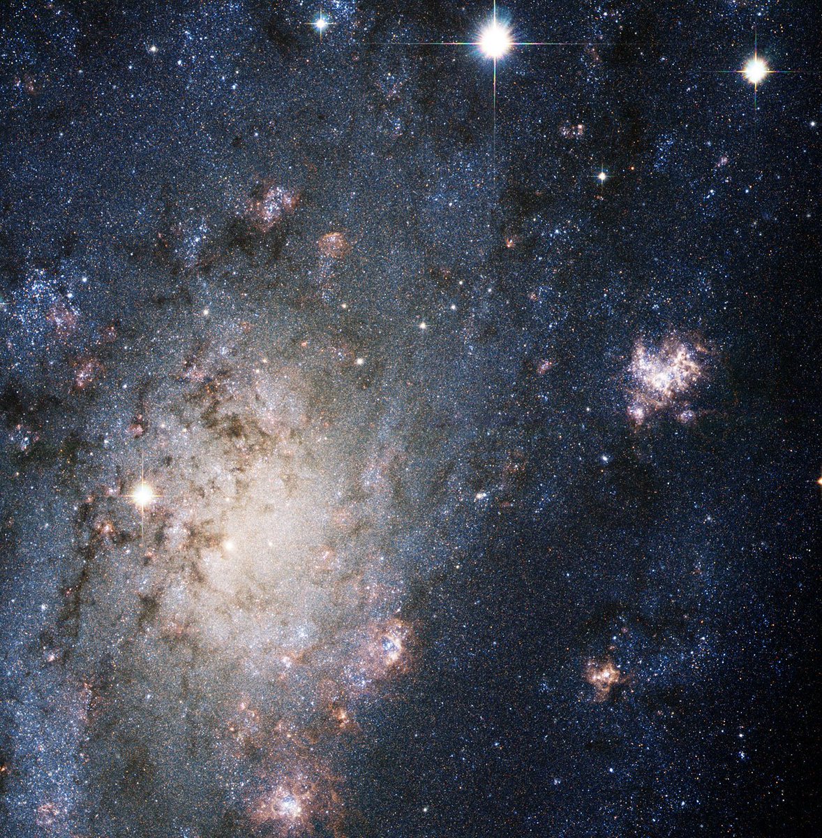 Spacescape__'s tweet photo. Supernova in the nearby galaxy NGC 2403. https://t.co/YhqUoCAwAO