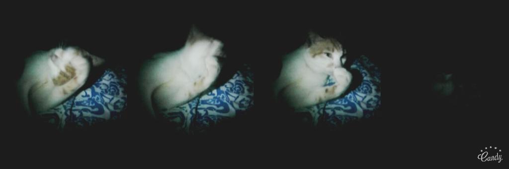 ManeejanC's tweet image. ช่วงนีฝนตก