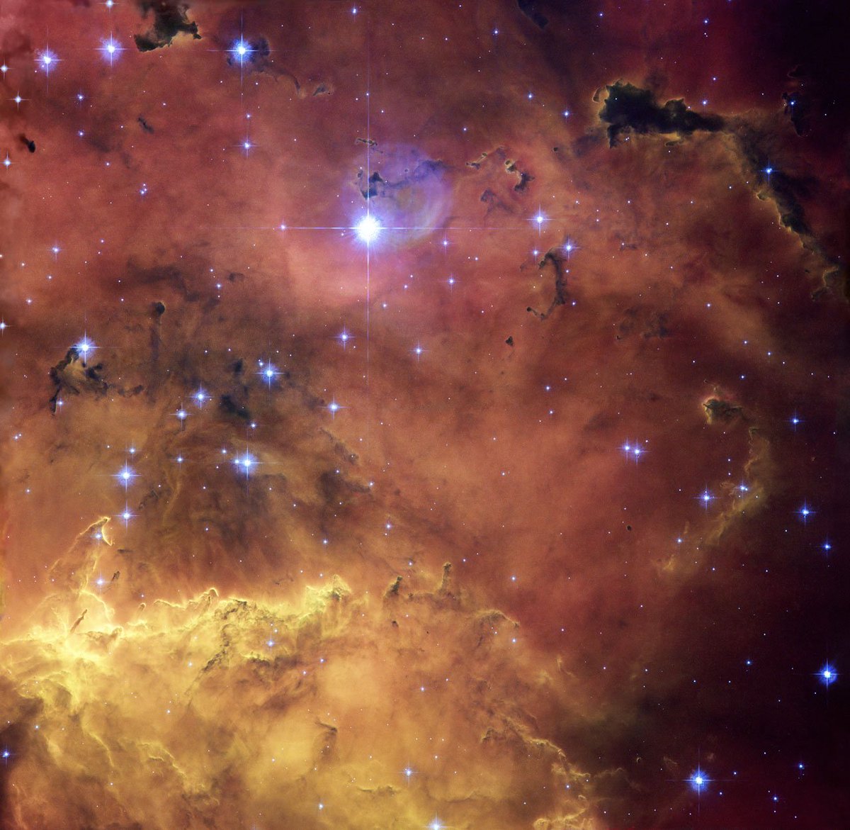 Spacescape__'s tweet photo. NGC 2467. https://t.co/gMnJCGPrkk
