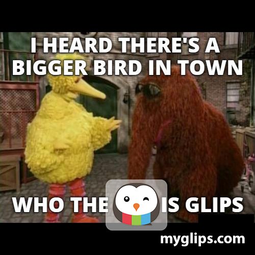 Glips_GeoSocial's tweet photo. Don't be sad Bigbird, there's room for both of us! ;) #startup #glips #geosocial #buzz #trending #app #new #iPhone https://t.co/VDpmKBLBVE