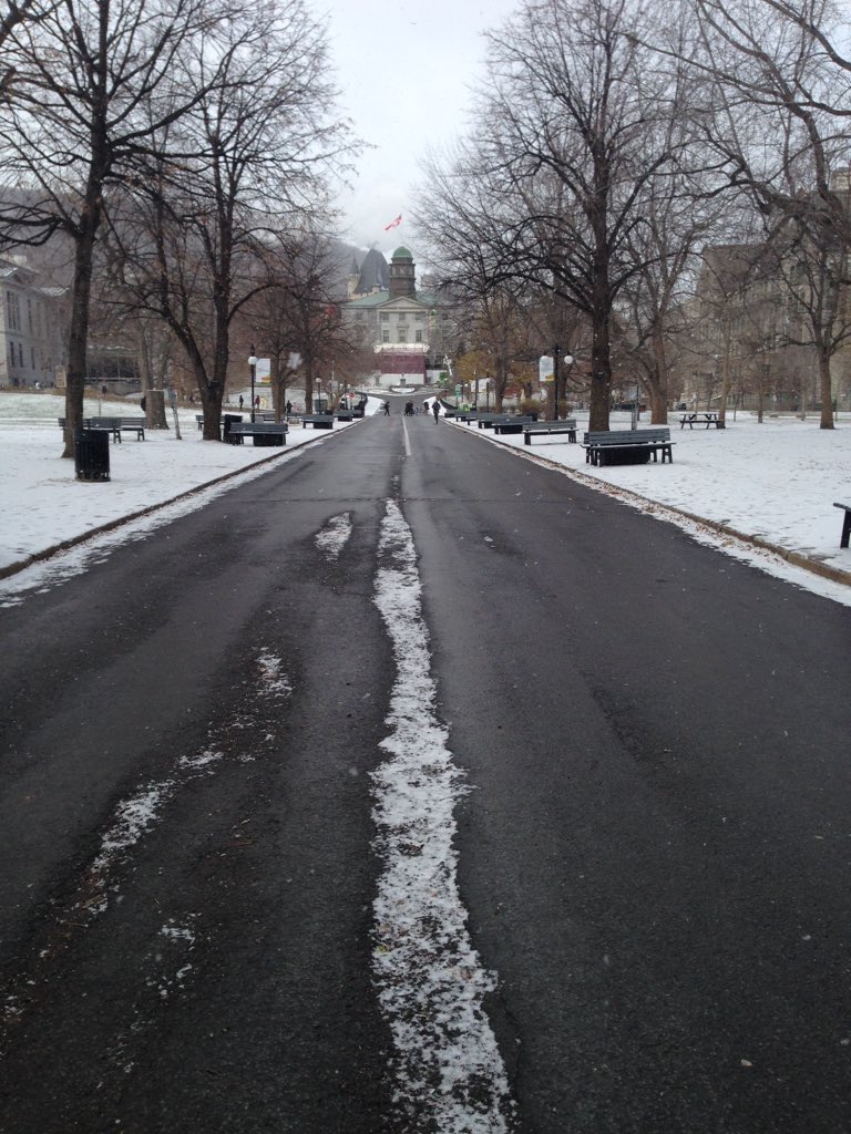 McIntBio's tweet photo. Happy first day of snow, @McGillU! https://t.co/c4N8rBP8n2
