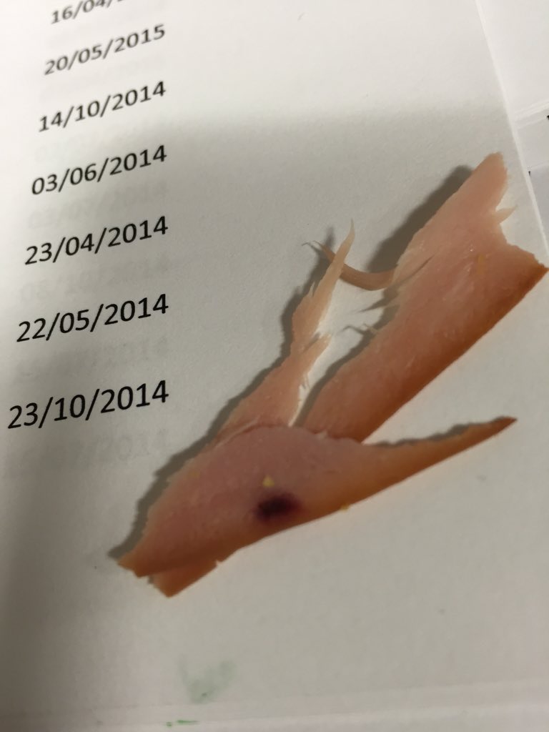 gemmatap's tweet photo. @SUBWAYUKIreland no reply no? Disgusting and that's a small bit https://t.co/iOtTL9xISx