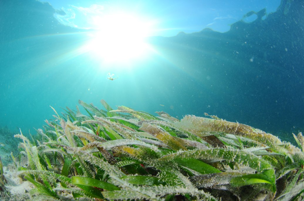 Ana Dreads tweet media