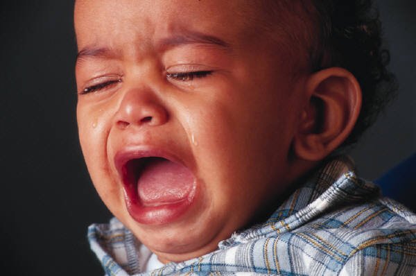 CompuNetworking's tweet image. New Baby Stress, w/o Cute Factor. Clyde says wait to install Windows 10 til 1st bug fixes.  on.fb.me/1R595CM
