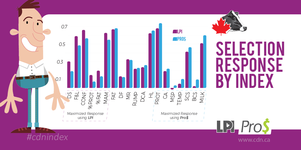 Lactanet_Canada's tweet photo. 1 week 'til proofs! InfoHolstein explains LPI, Pro$ & your herd trends for both: https://t.co/vqXGbsb1kQ #CdnIndex https://t.co/RlxQqQqfVD