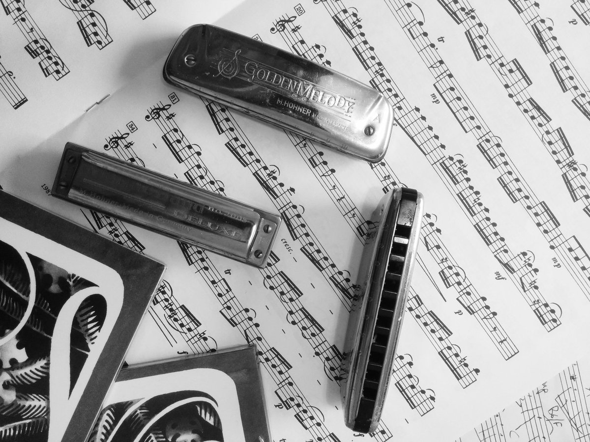 Getting ready for Choro Bastardo tour.  #livemusic #choro #music #harmonica