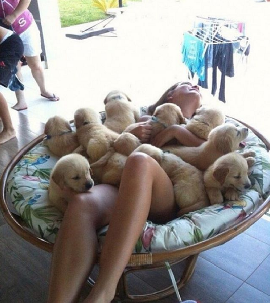 LoopholeLu's tweet photo. Can't think of a better way to spend my time. #dogsoftwitter https://t.co/VS0RYQMAtb