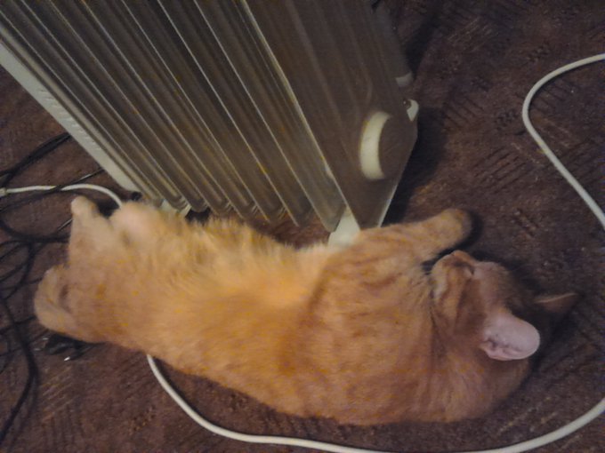 My sweet kittie Kesha is warming near the heater)) Weathercast promise this night in Moscow would be