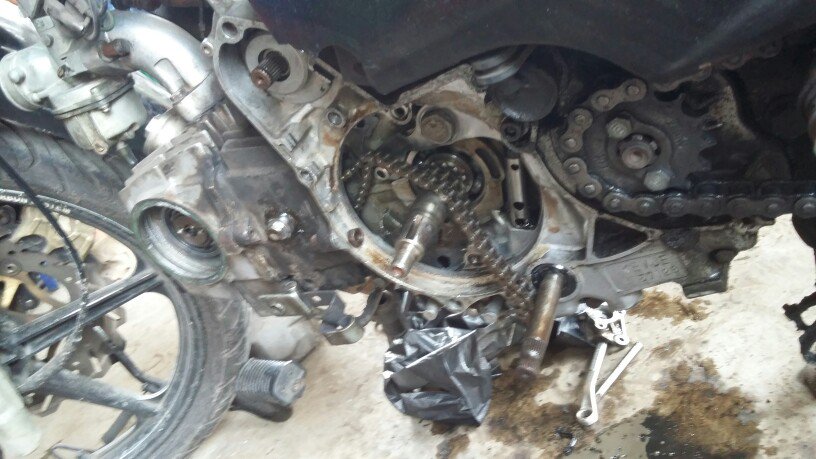 #DL_003 mimin cinta banget dah sama kuda reot yg satu ini, walaupun sakit sakitan terus -_-