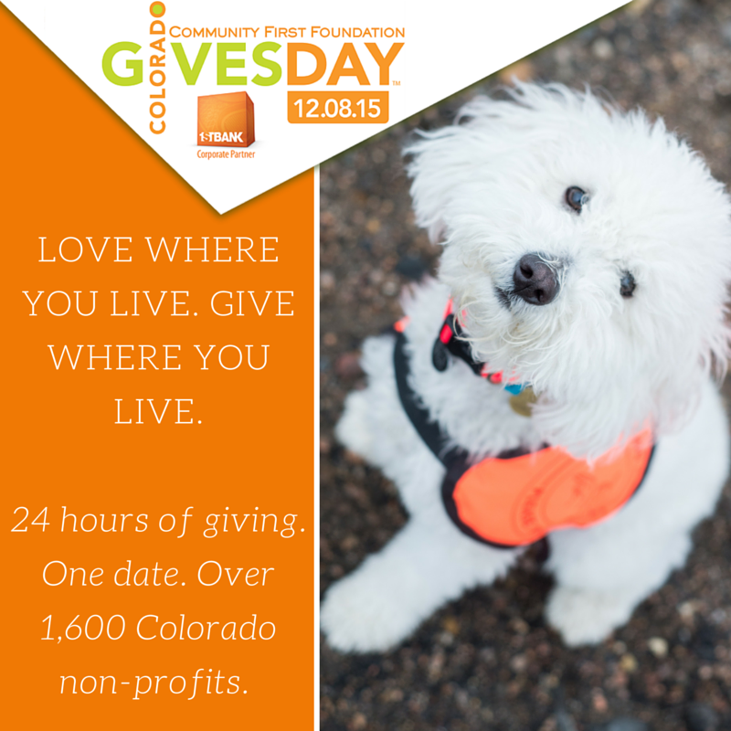 IntlHearingDog's tweet photo. Need a non-profit org. to give to for the Holidays? #Coloradogivesday starts at 12 am on 11/8/2015. #24hrsofgiving https://t.co/tPVtB1Phyu