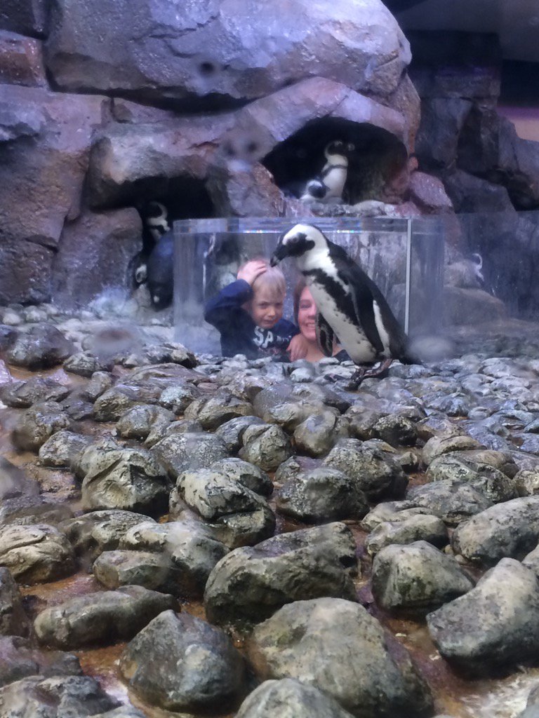 ClintWaltz's tweet photo. The Georgia Aquarium can be a dangerous place. https://t.co/kq6R8cYtGK