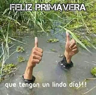 LuchoCeli's tweet image. Estoy asi...