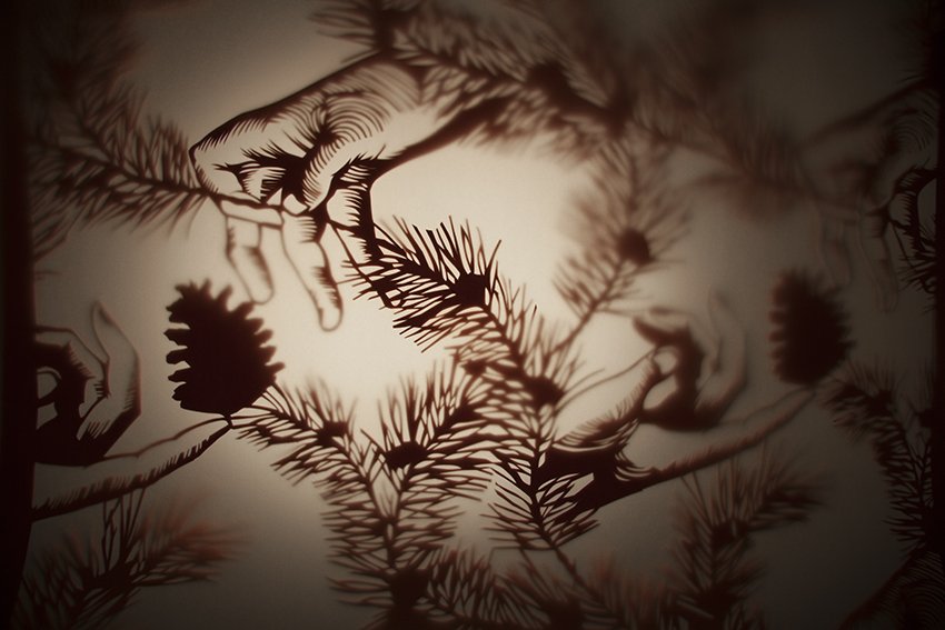 EssentialEdin's tweet photo. Wolfits window by @AstridJaekel for #RoseStProject https://t.co/E42DweAJl8
